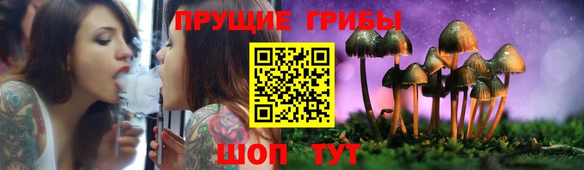 Галлюциногенные грибы Cubensis Обь