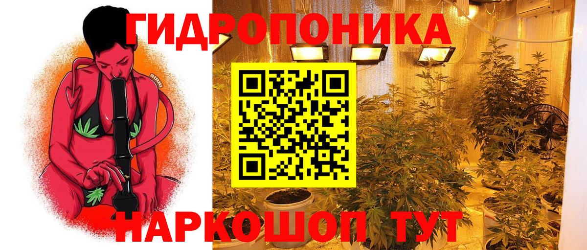 Конопля гибрид Обь